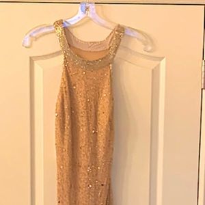 Andrianna Papell blush/silver tone fitted evening gown Size 6-fits snug  I’m a 0